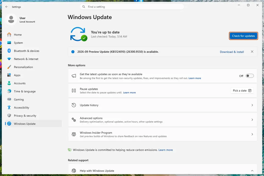 Windows Update page with an update and its KB number