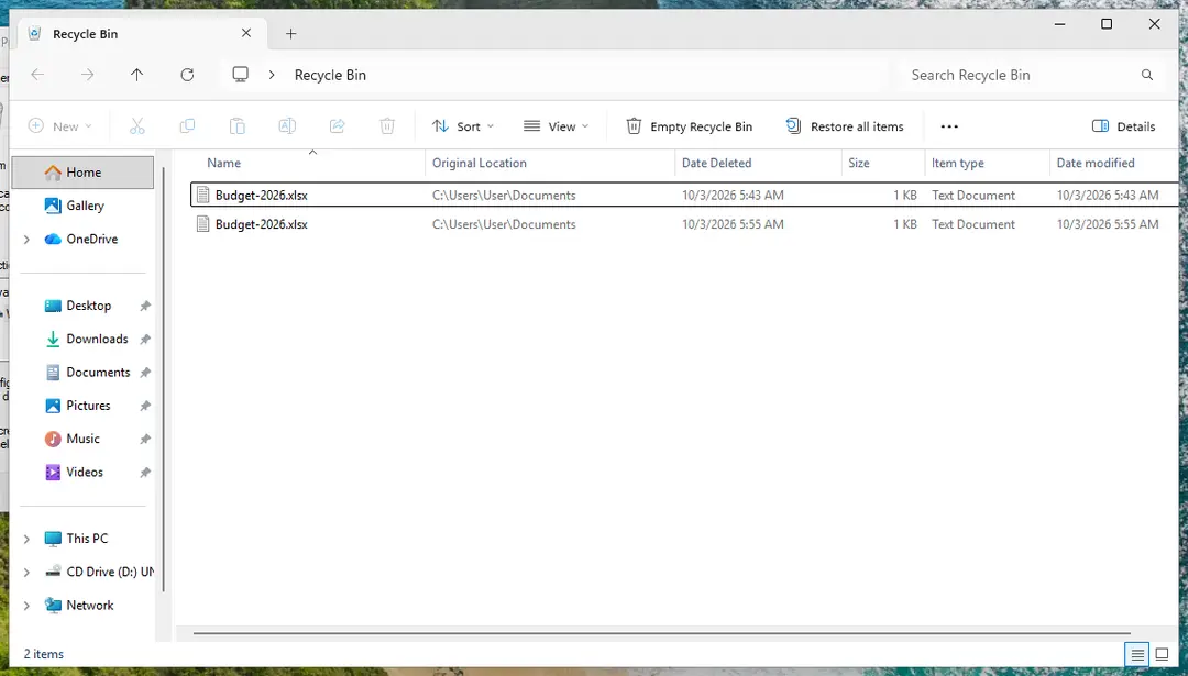 Recycle Bin in File Explorer with Original Location and Date Deleted columns