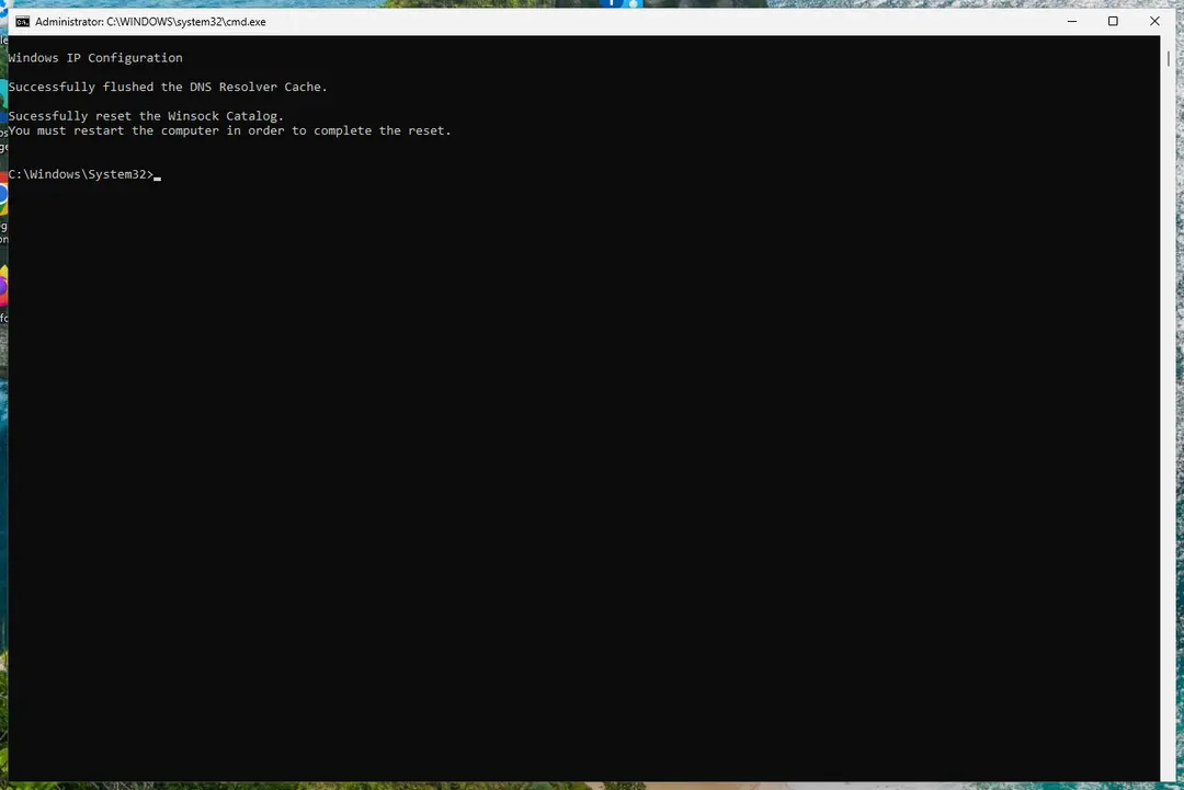 Command Prompt confirms the DNS cache flush and the Winsock reset