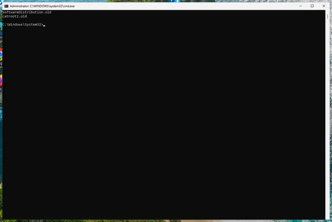 SoftwareDistribution.old and catroot2.old listed in Command Prompt