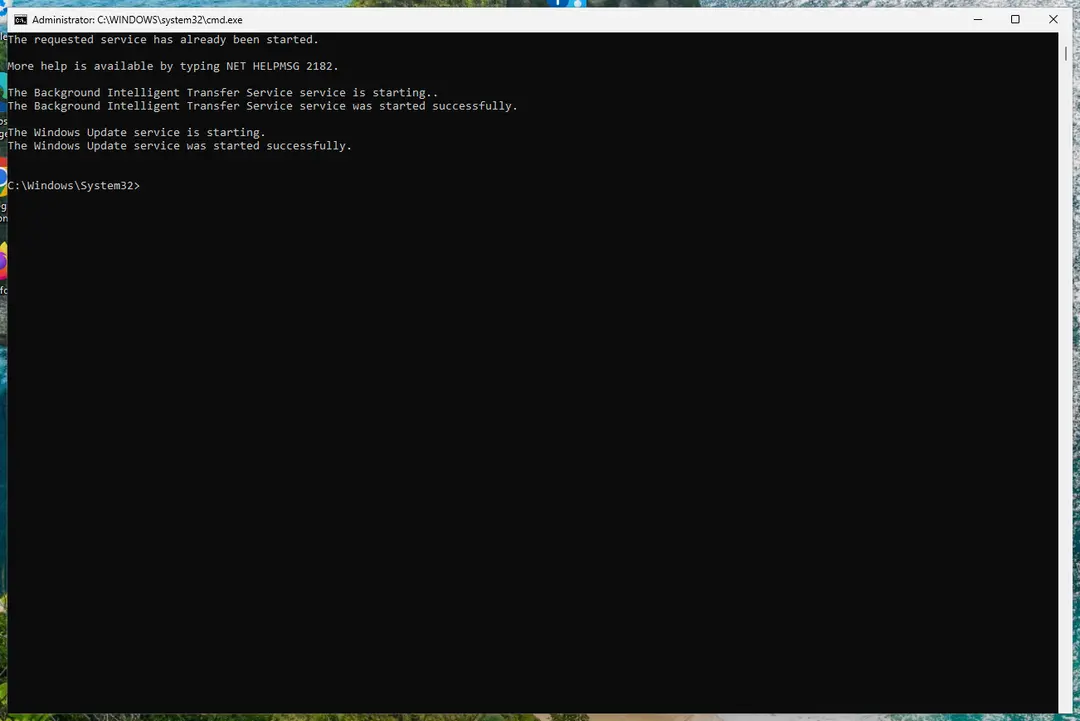 Command Prompt after starting BITS and Windows Update