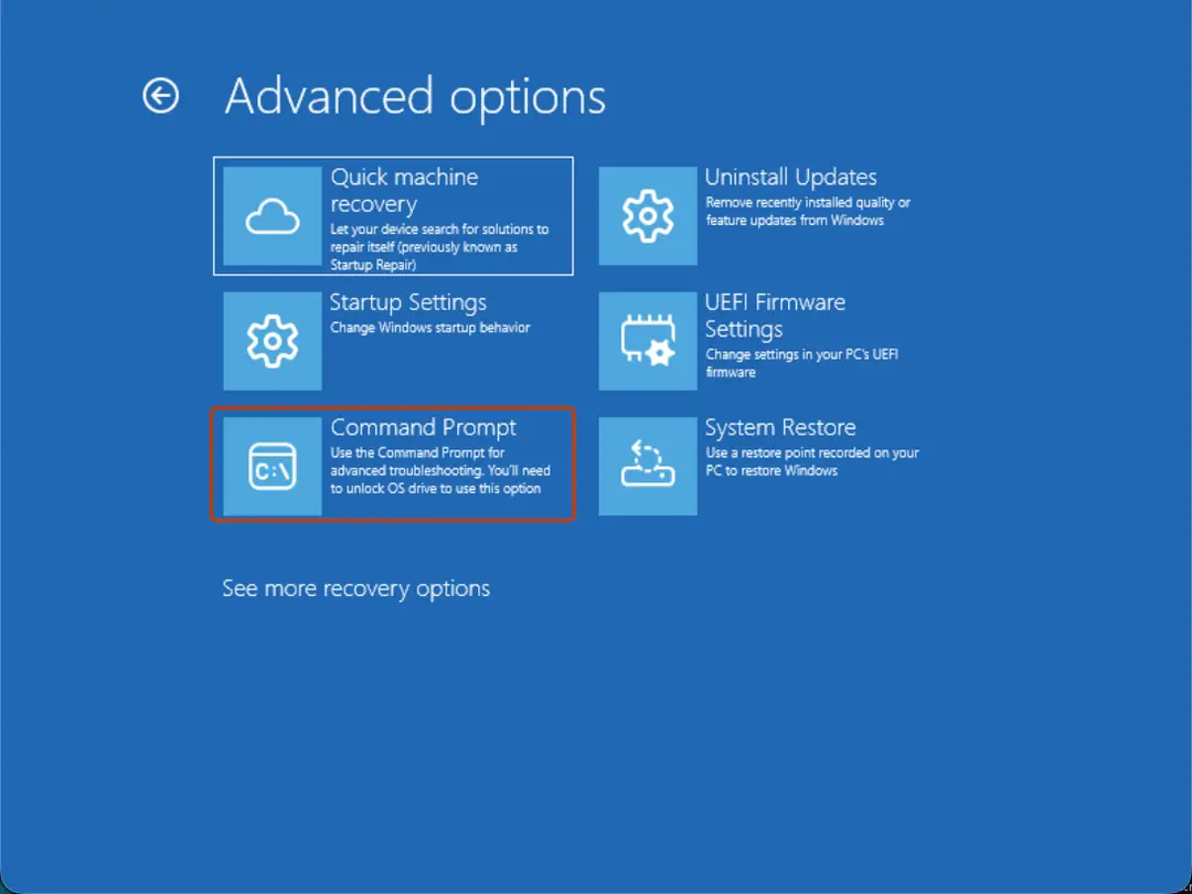 Advanced options: Command Prompt