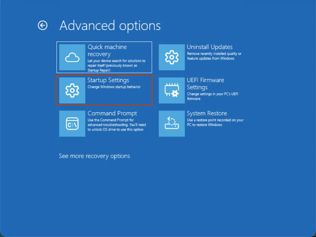 Advanced options: Startup Settings